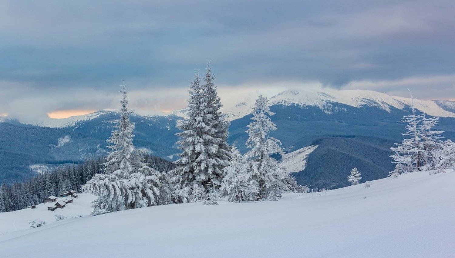 , Александр Подрез