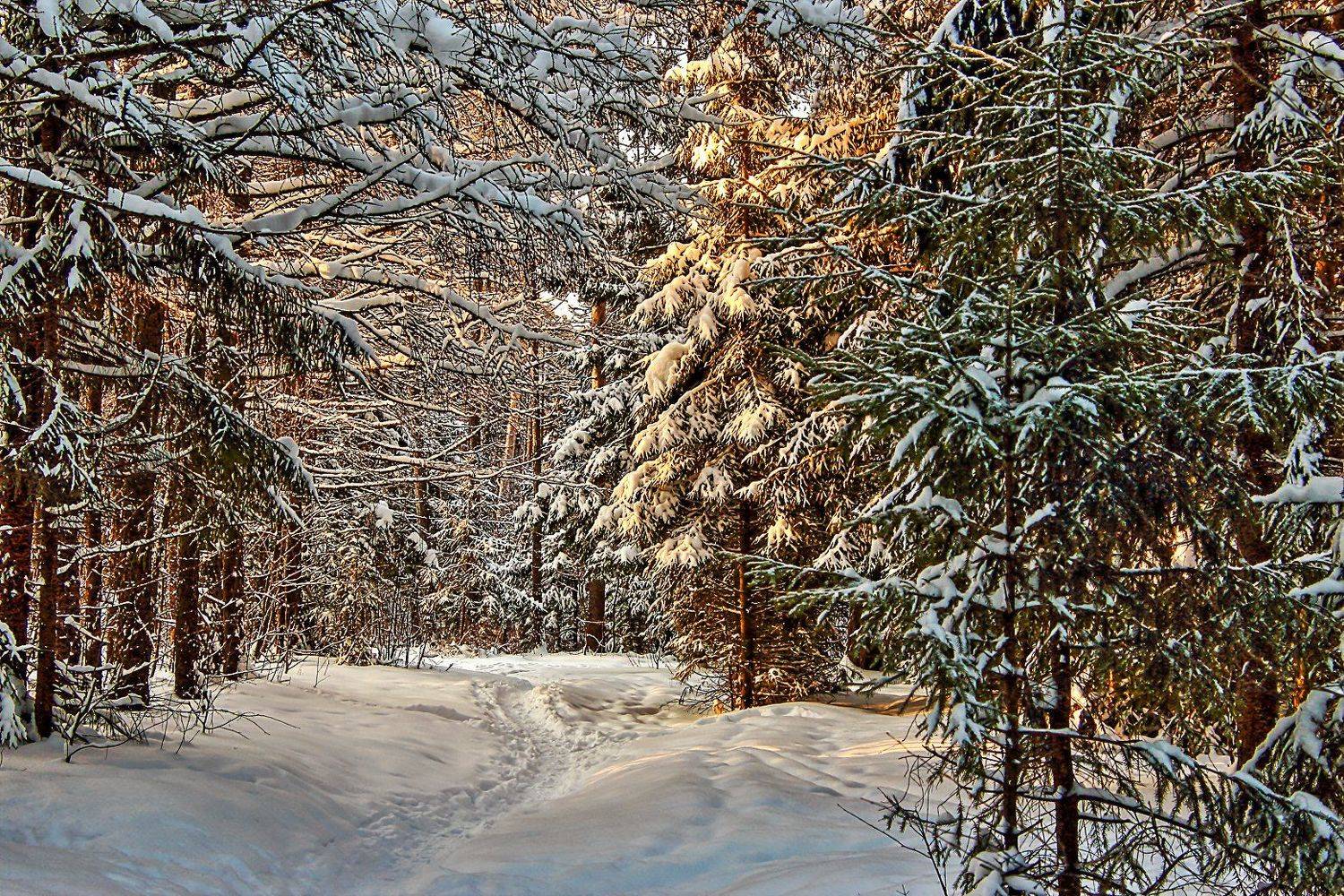 , Олег Резенов