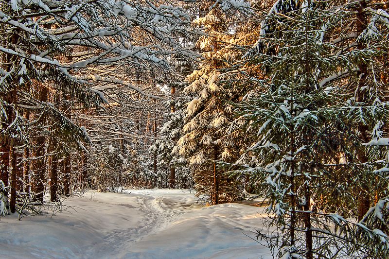 *** фото превью