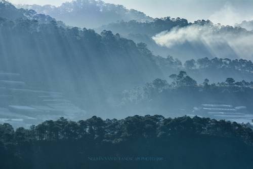 Da Lat 2019