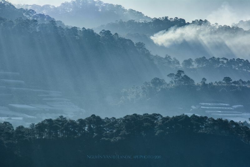 Fog Da Lat 2019 фото превью