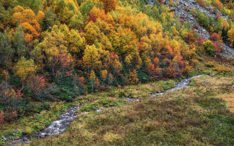 Палитра горной осени... фото превью