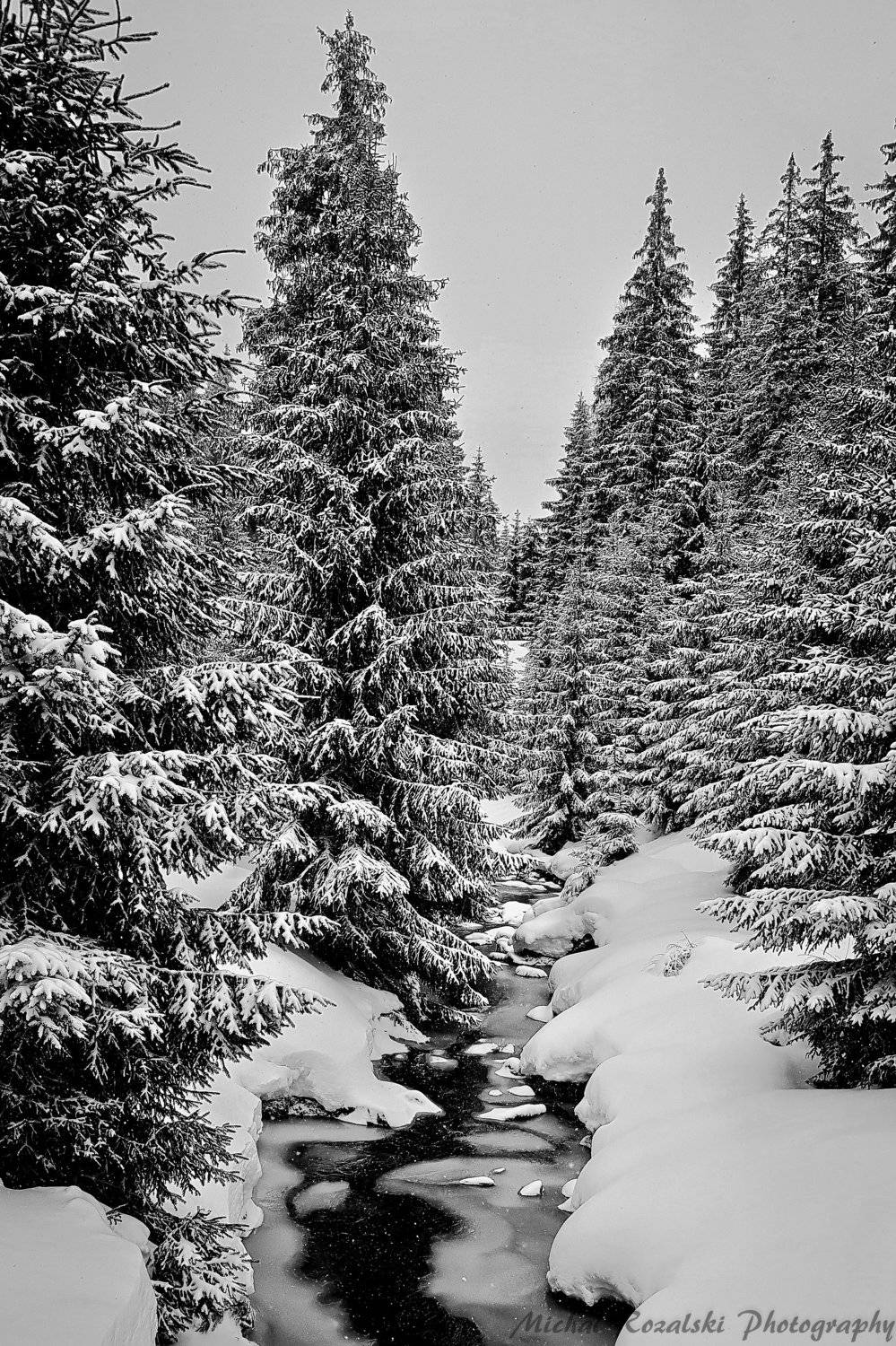 winter, ,season, ,blackandwhite, ,snow, ,landscape, ,trees, ,stream, ,photography, Michal Rozalski