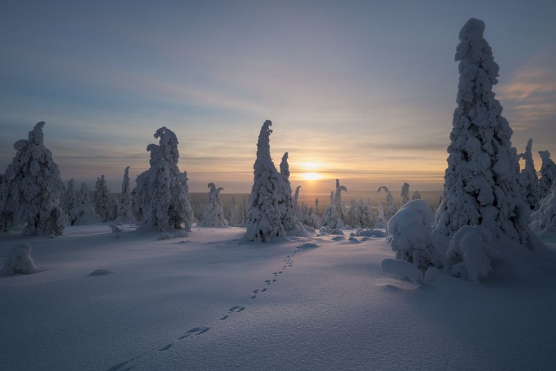 Там, на неведомых дорожках... фото превью