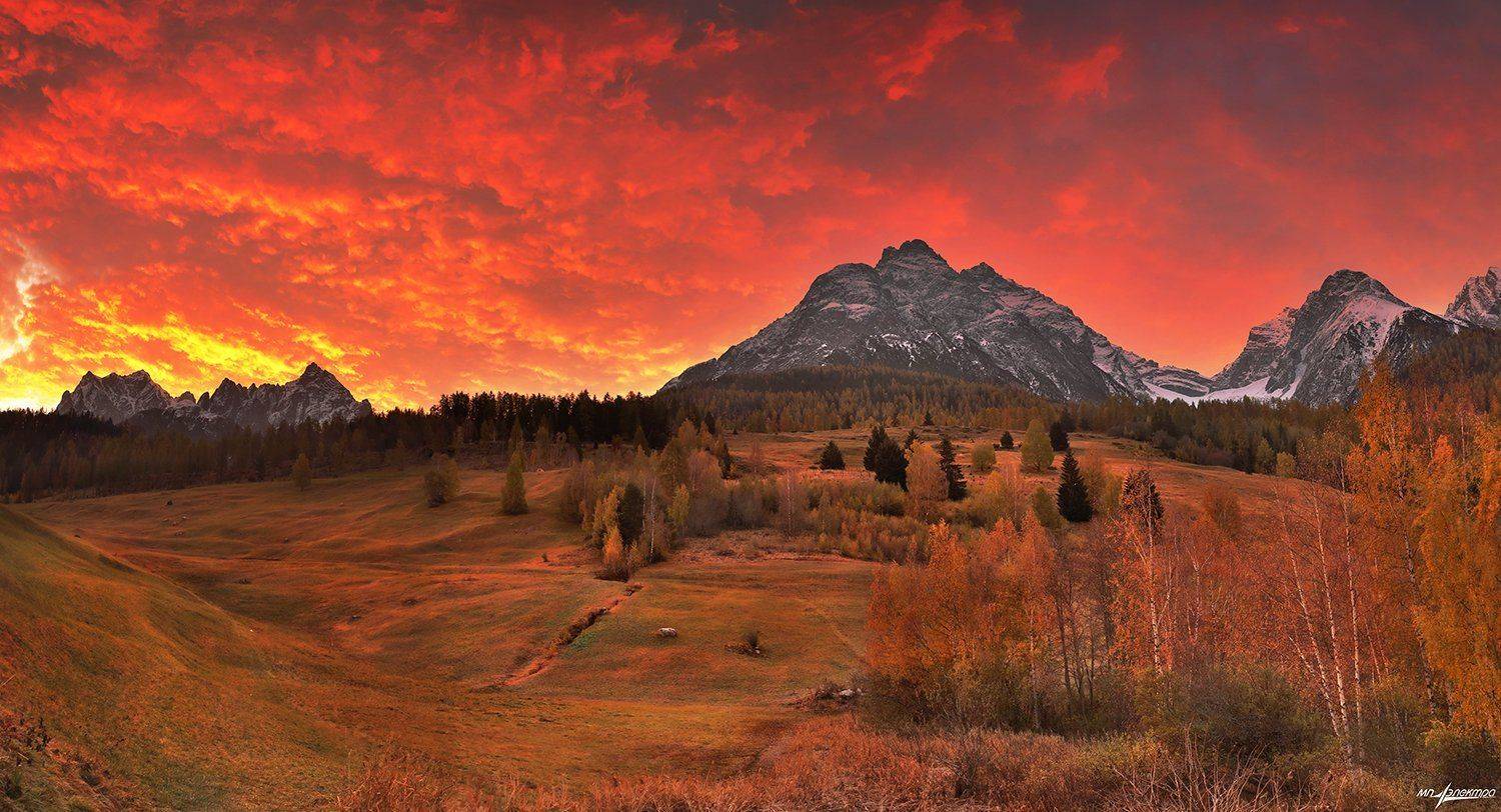 swiss, Матвеев Николай