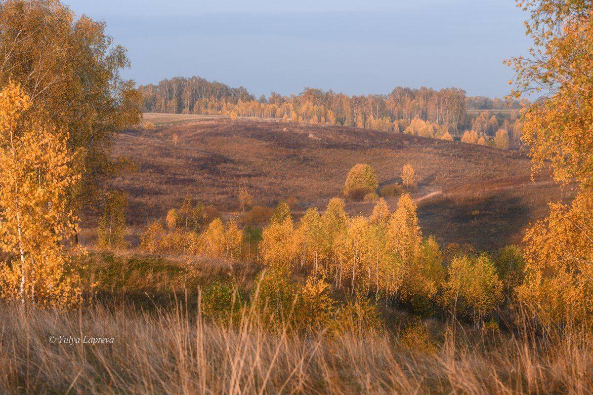 , Юлия Лаптева