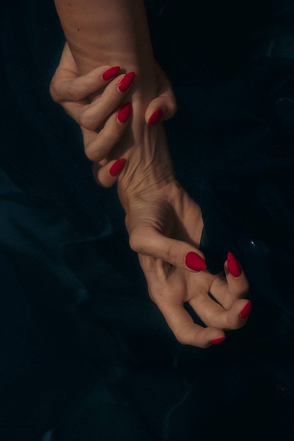 , Александр Сергиенко