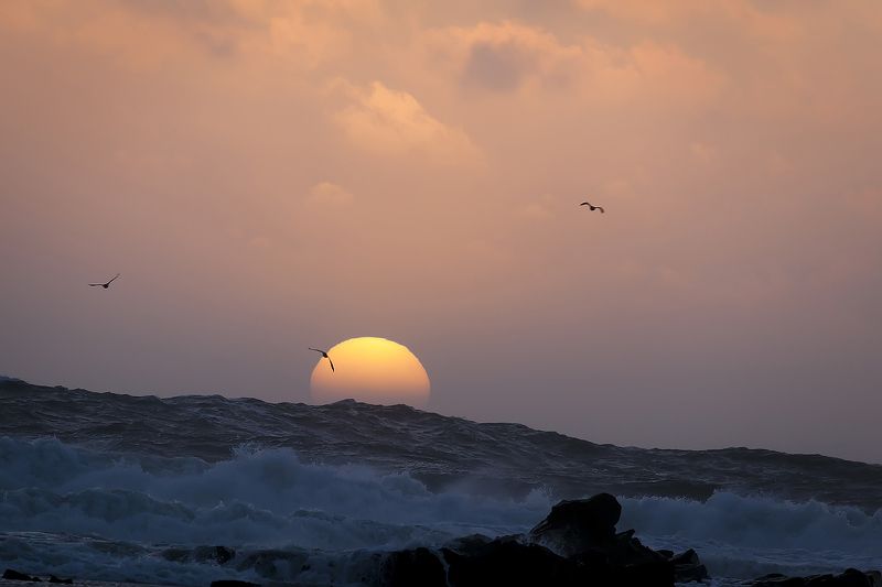 Тихий океан фото превью