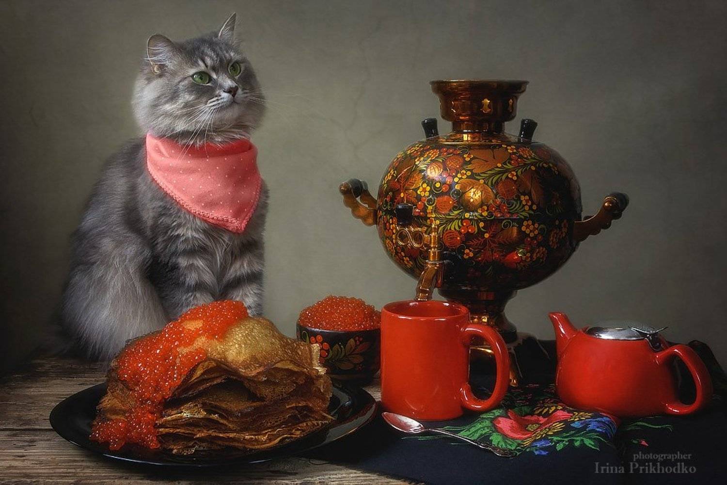 натюрморт, масленица. блины, икра, кошка Масяня, самовар, постановочное фото, котонатюрморт, Ирина Приходько