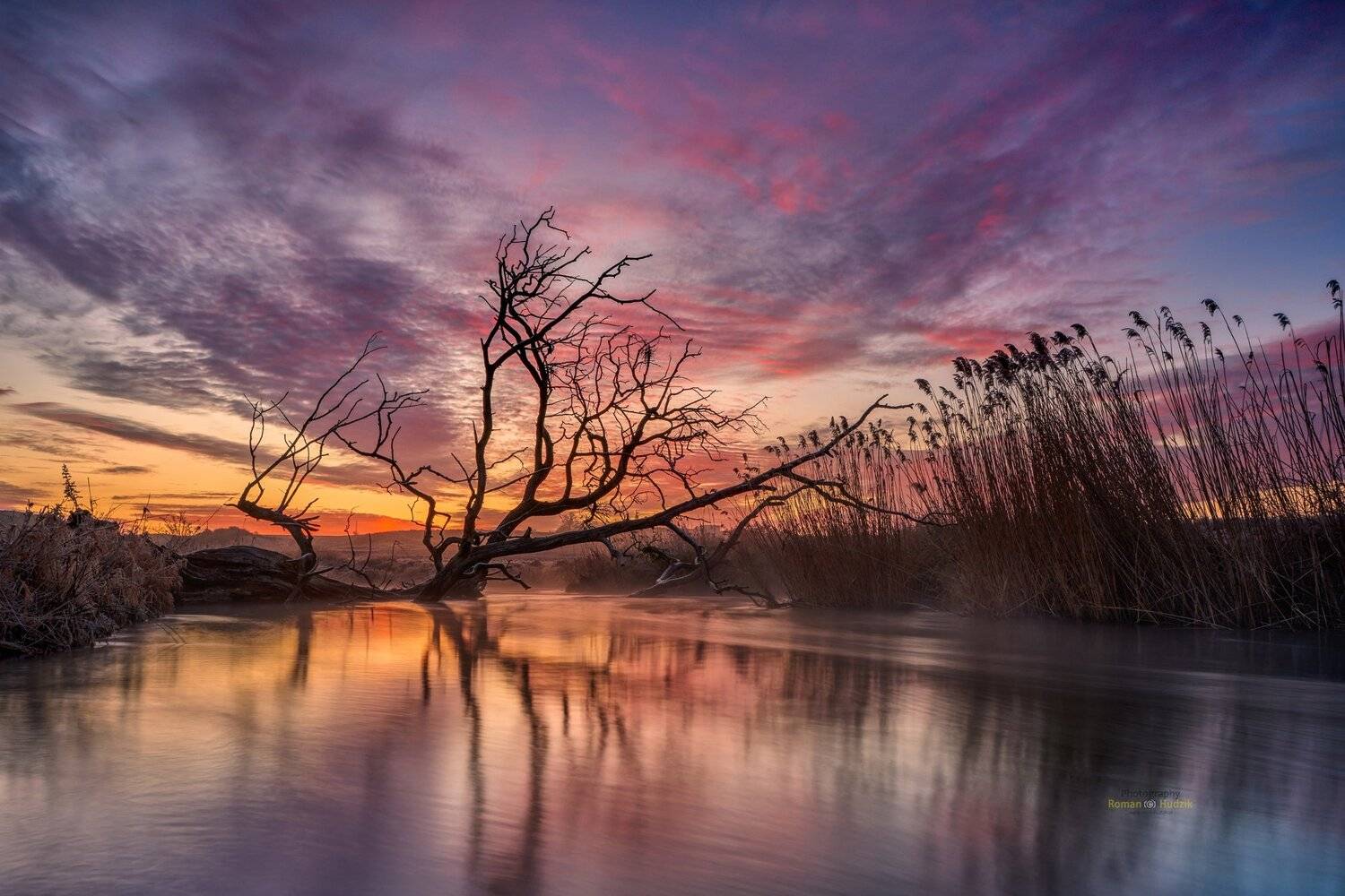   Wierzyca River, Kociewie, Poland, landscape, sunrise, clouds, sky, tree, Roman Hudzik