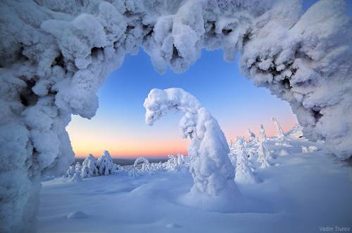 Снежный дракон