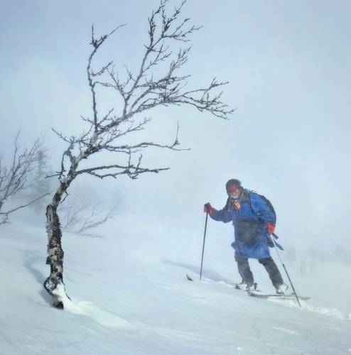 Крепитесь люди, скоро лето! )