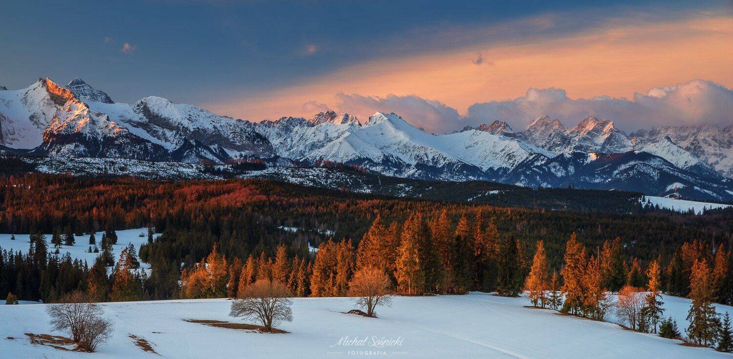 #tatry #tatras #mountains #cloudy #rock #sunrise #best #benro #benq #pentax #spisz #poland #tree #trees, Michał Sośnicki
