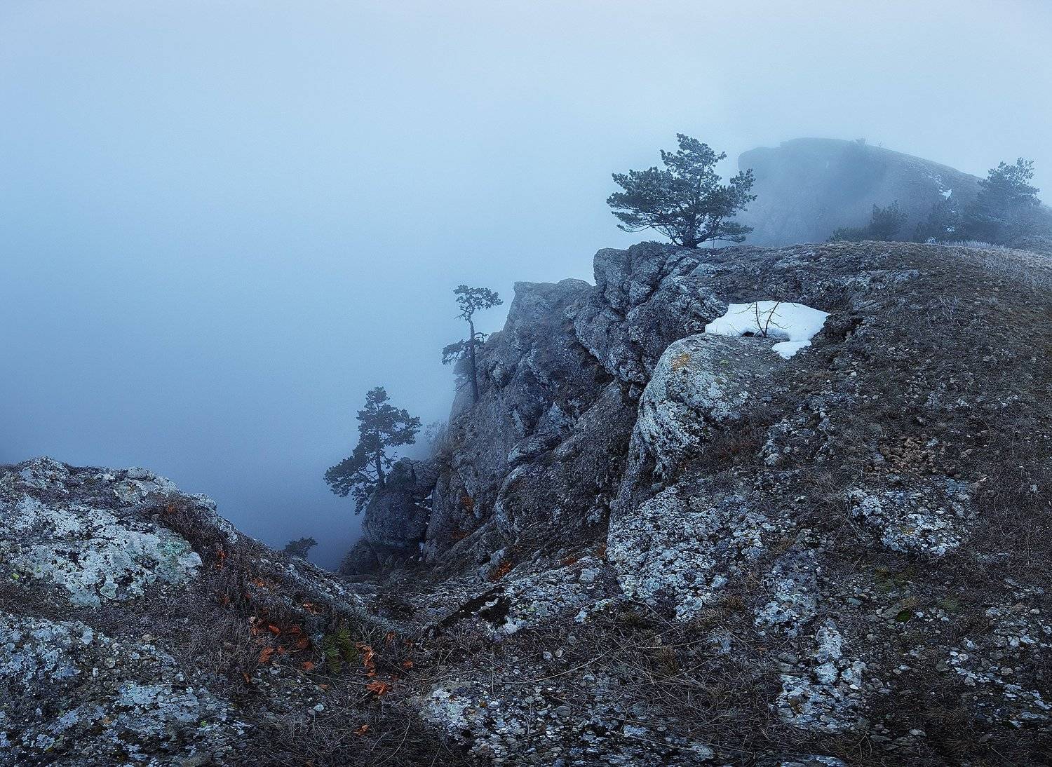 , Андрей Родионов