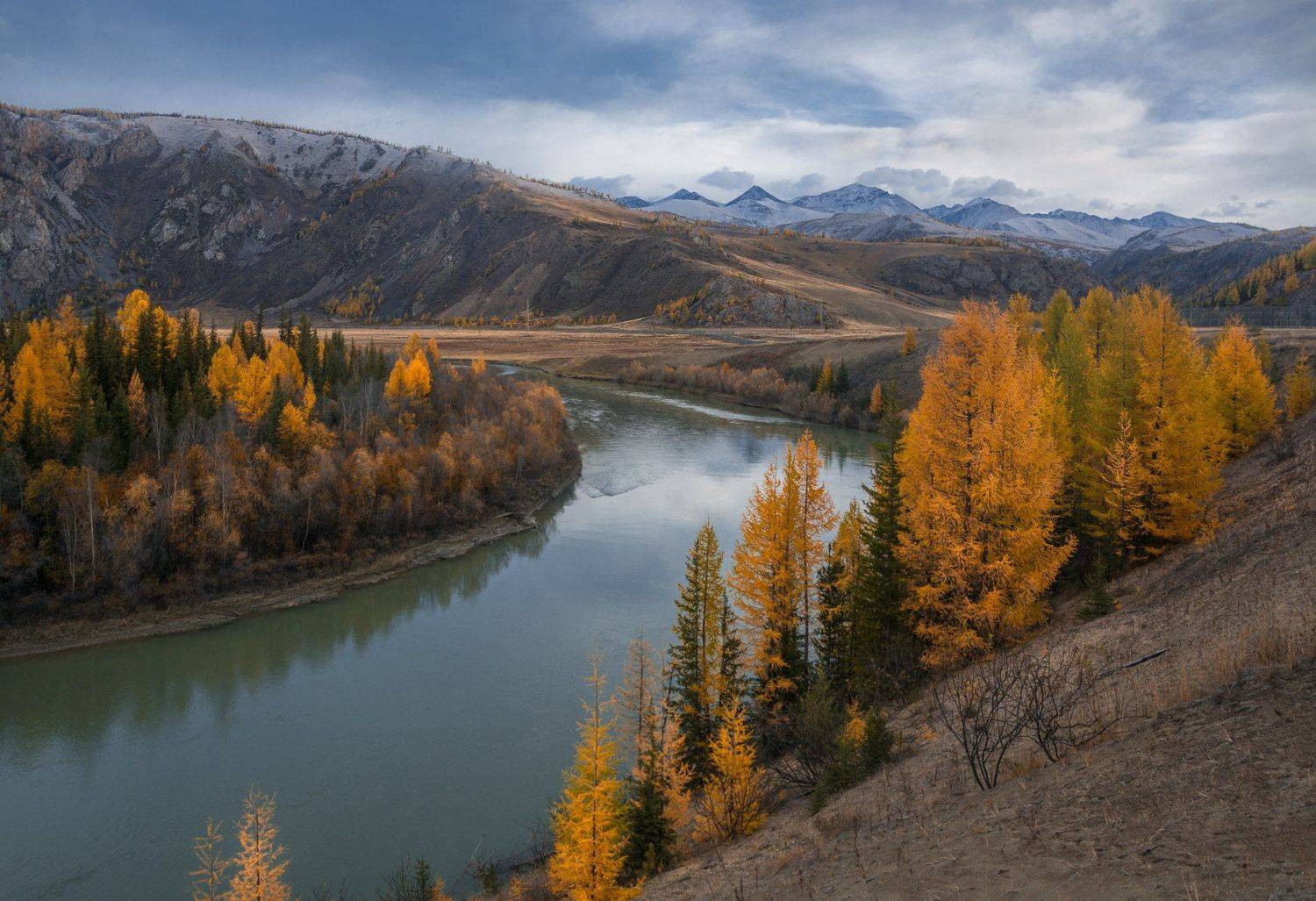 россия, горный алтай, река чуя, осень, утро, Андрей Поляков