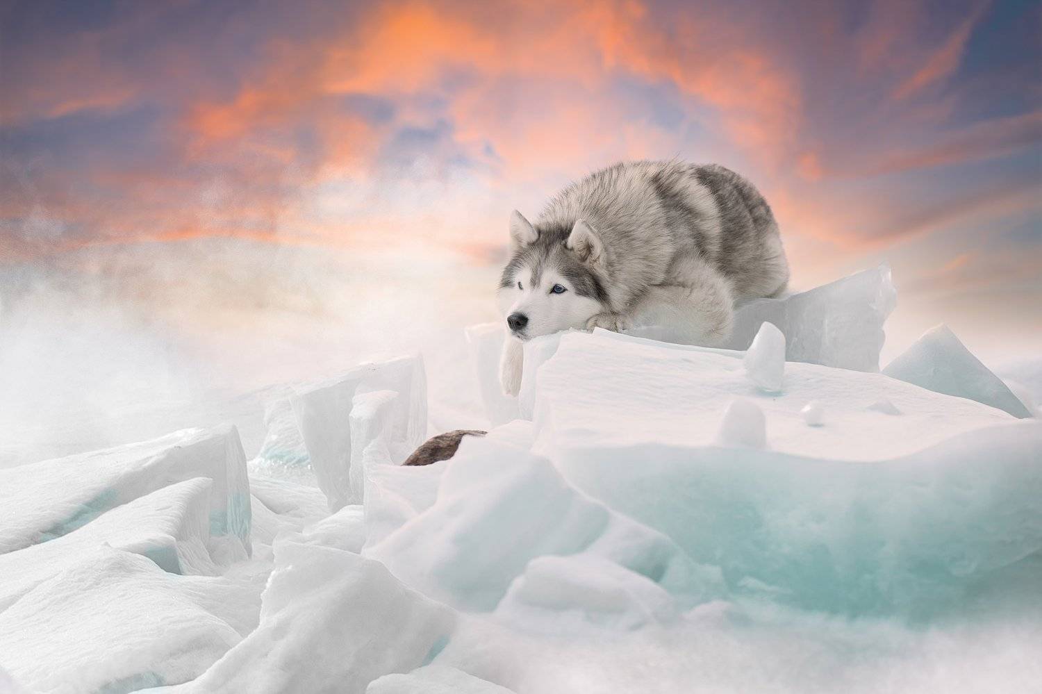 , Светлана Писарева