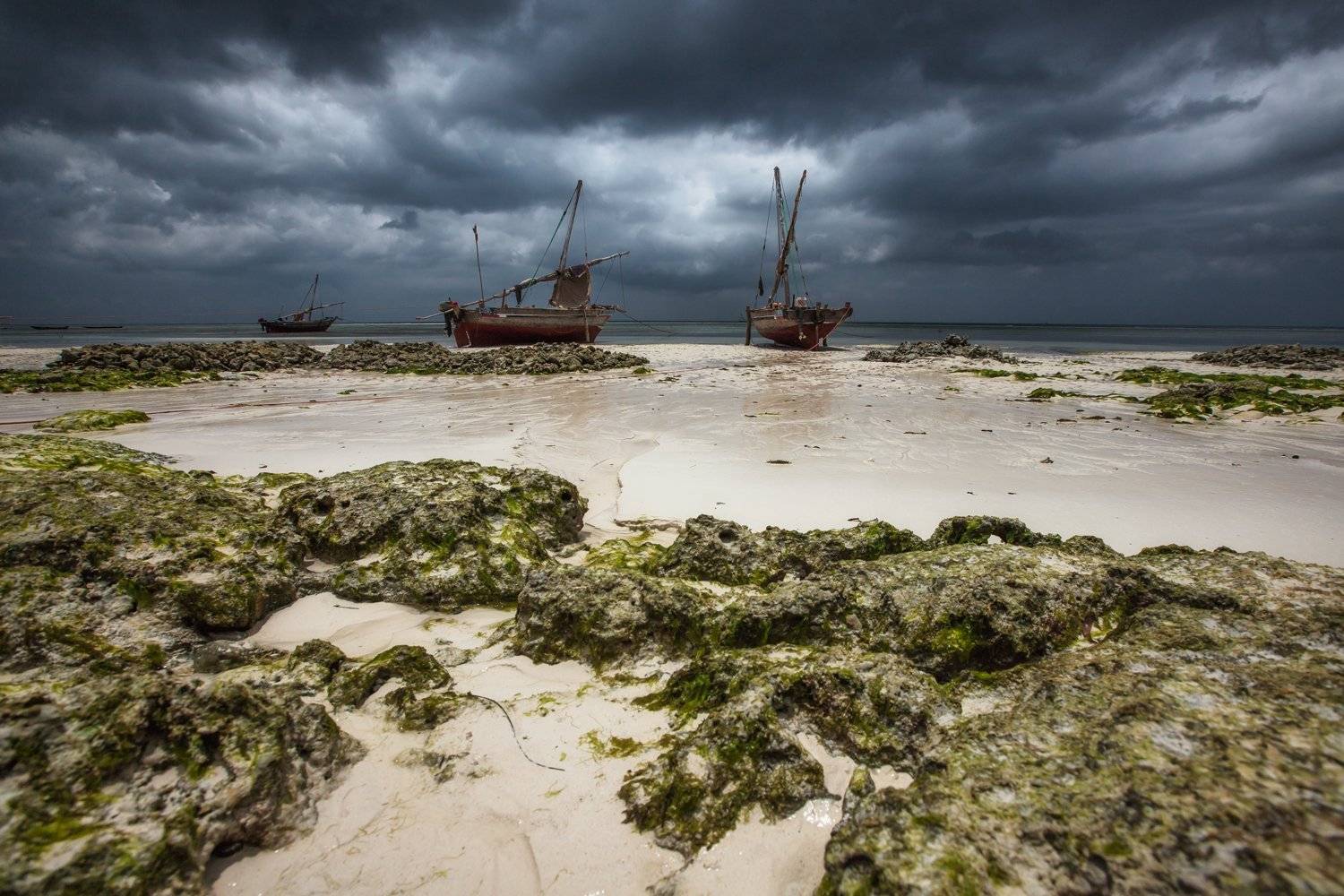 Занзибар, Танзания, Алексей Мараховец