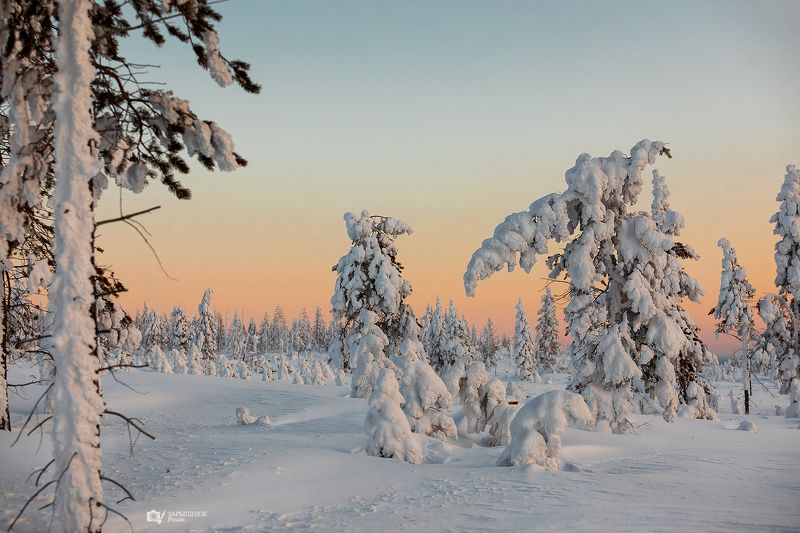 якутия, зима, снег, сибирь, дальний восток, мороз, холод  фото превью