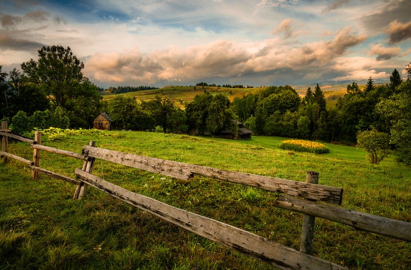 украина, карпаты, горы, осень, вечер, облака, трава, Карпаты вечерние фото превью