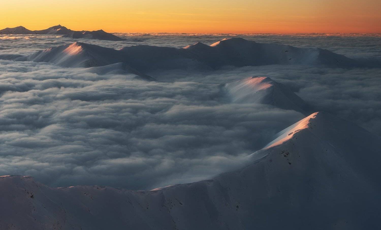 , Szabo Zsolt Andras