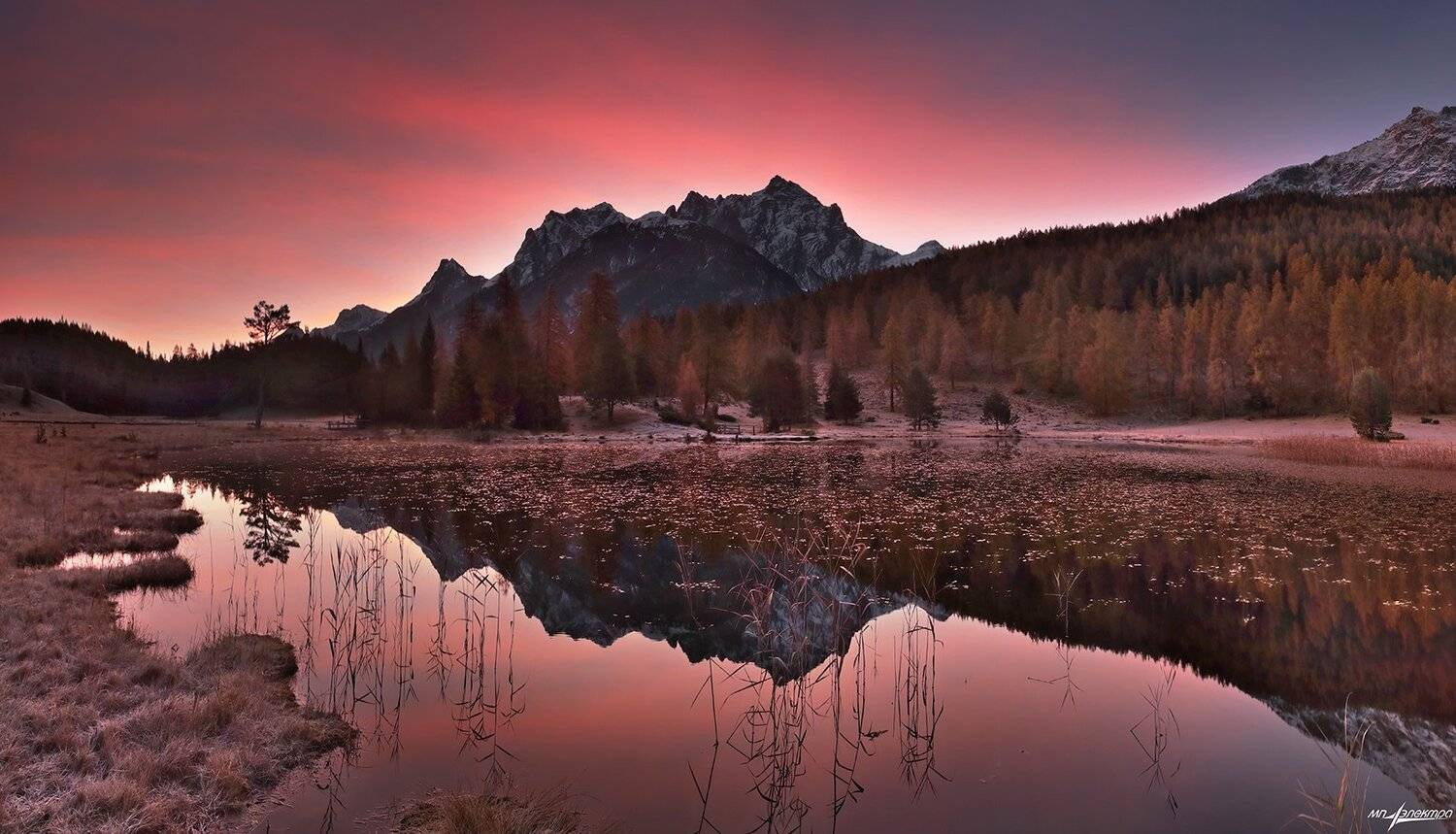 swiss, Матвеев Николай