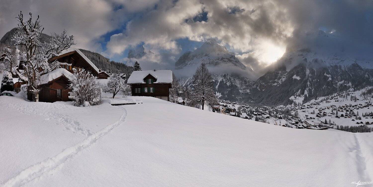 swiss, Матвеев Николай