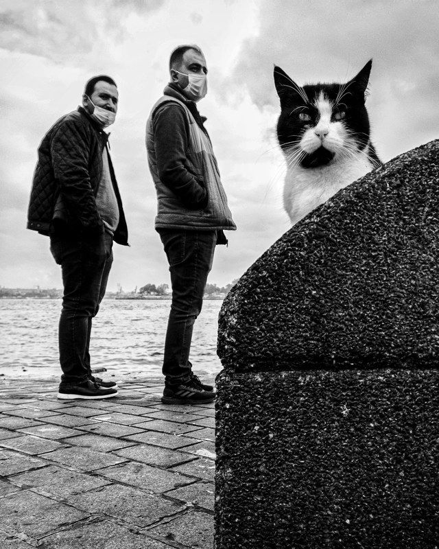 Look фото превью