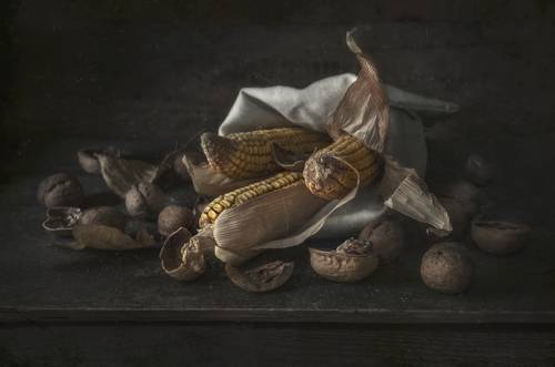 Старая кукуруза