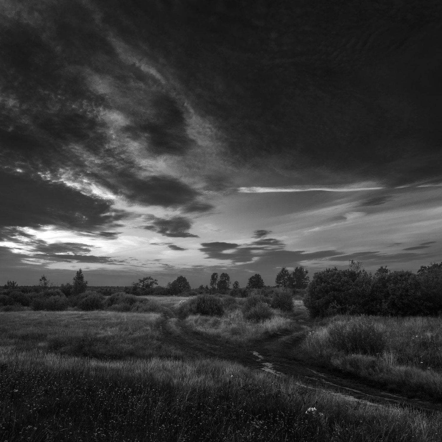 , Михаил Кушнер