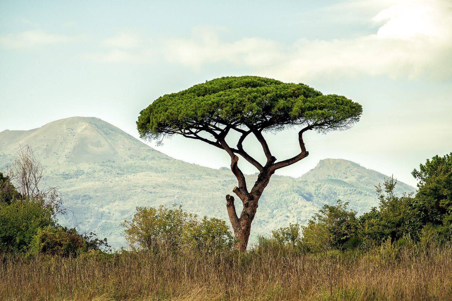 , Екатерина Сдобнова