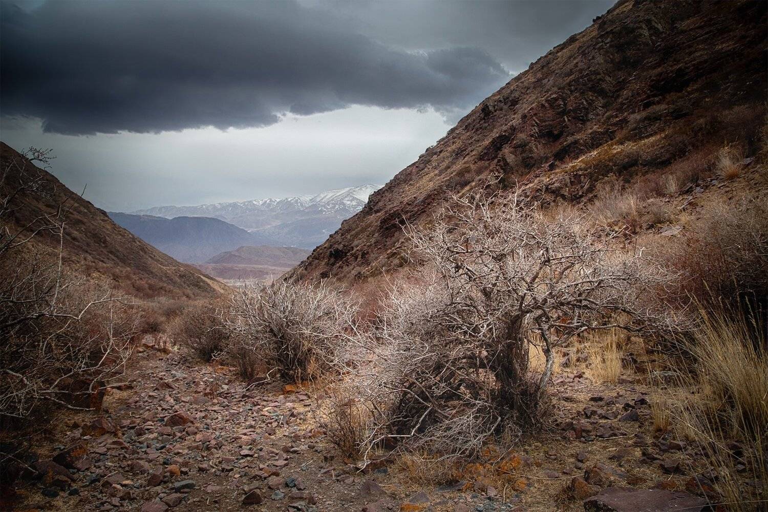 кыргызстан, горы, Элина Магалимова