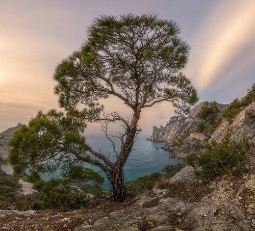 На рассвете в Новом свете