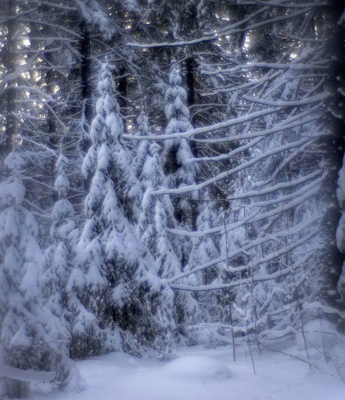 Прогулка с моноклем фото превью