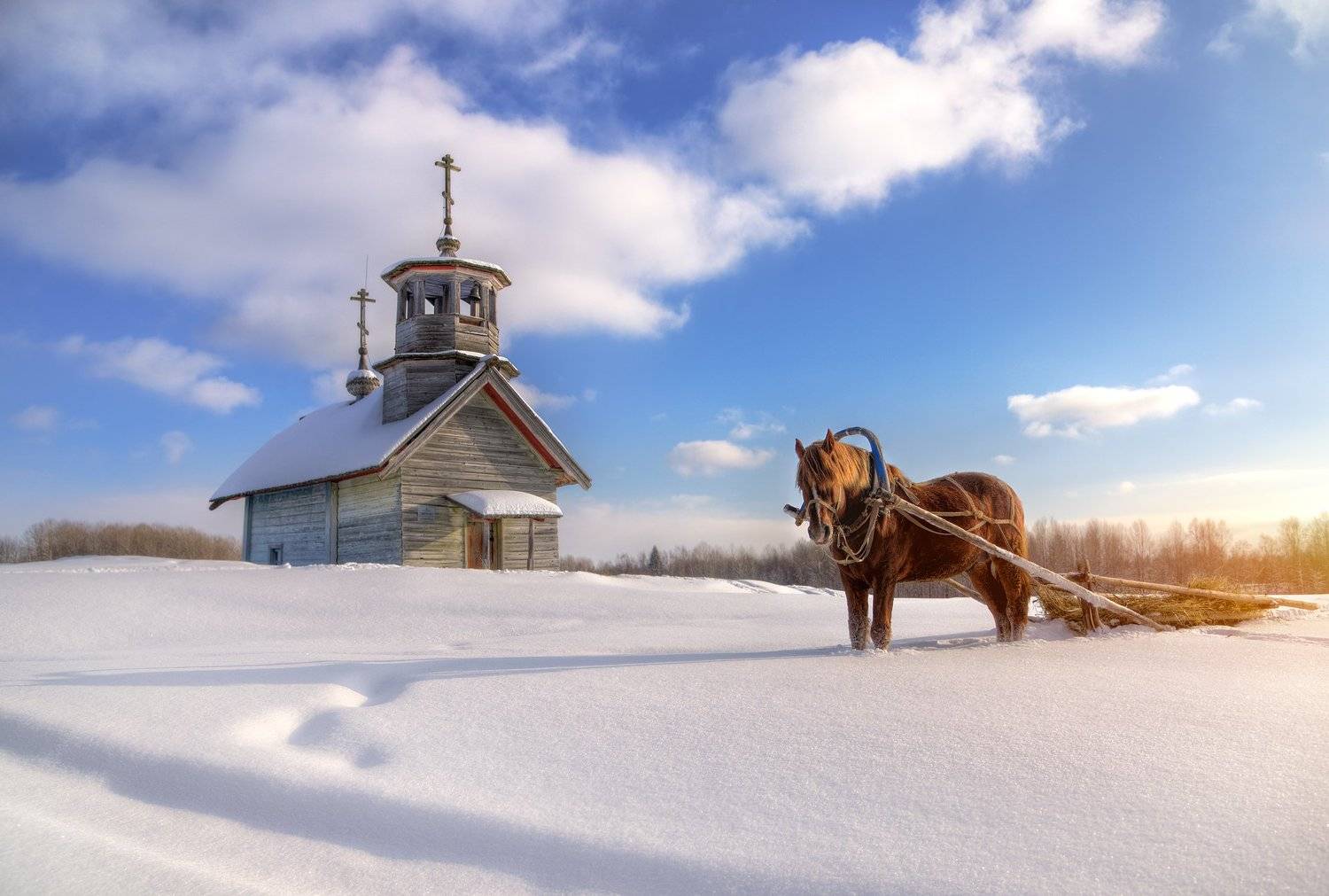 , Александр Атоян