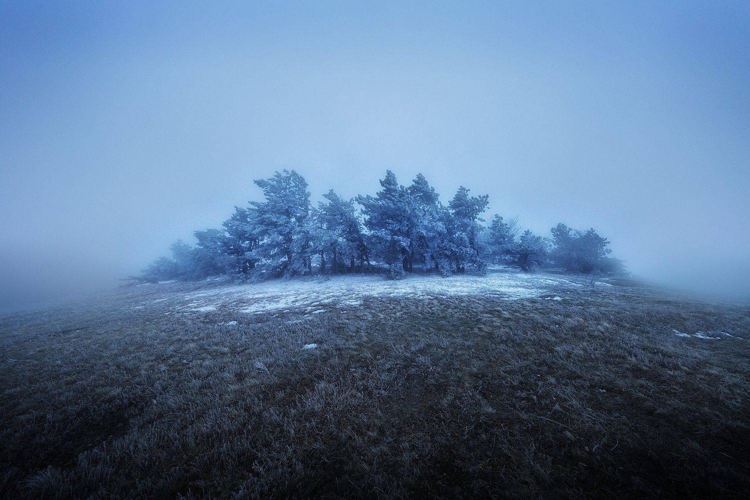 , Андрей Родионов