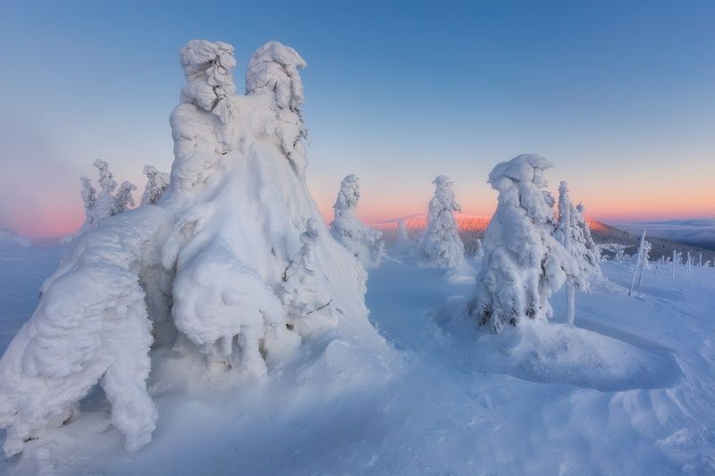 landscape, tree, sunrise, panorama Winter crab and other ghosts фото превью