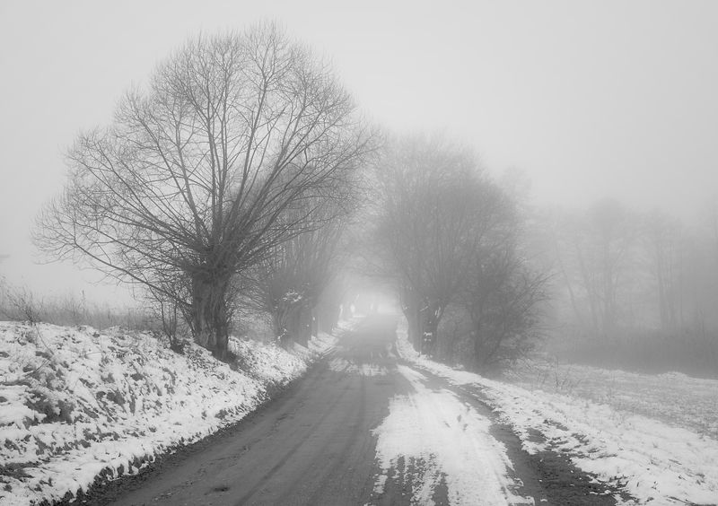 road among fields... фото превью