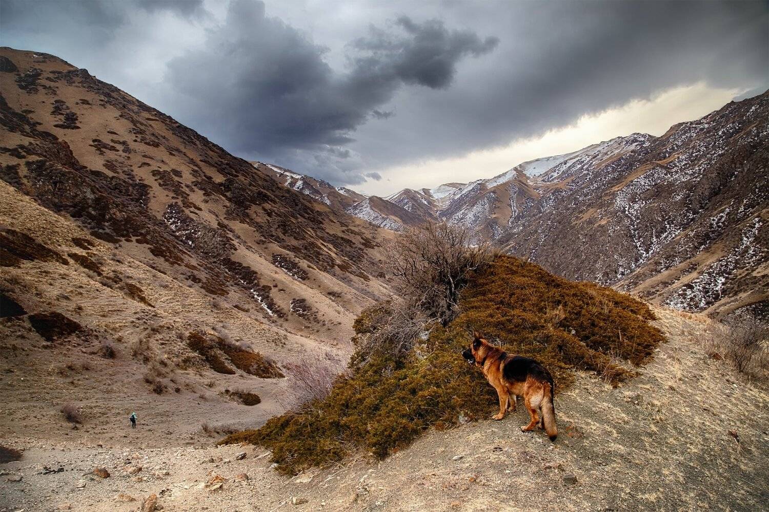 кыргызстан, горы, Элина Магалимова