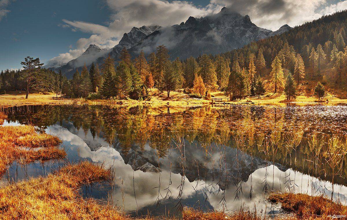 swiss, Матвеев Николай