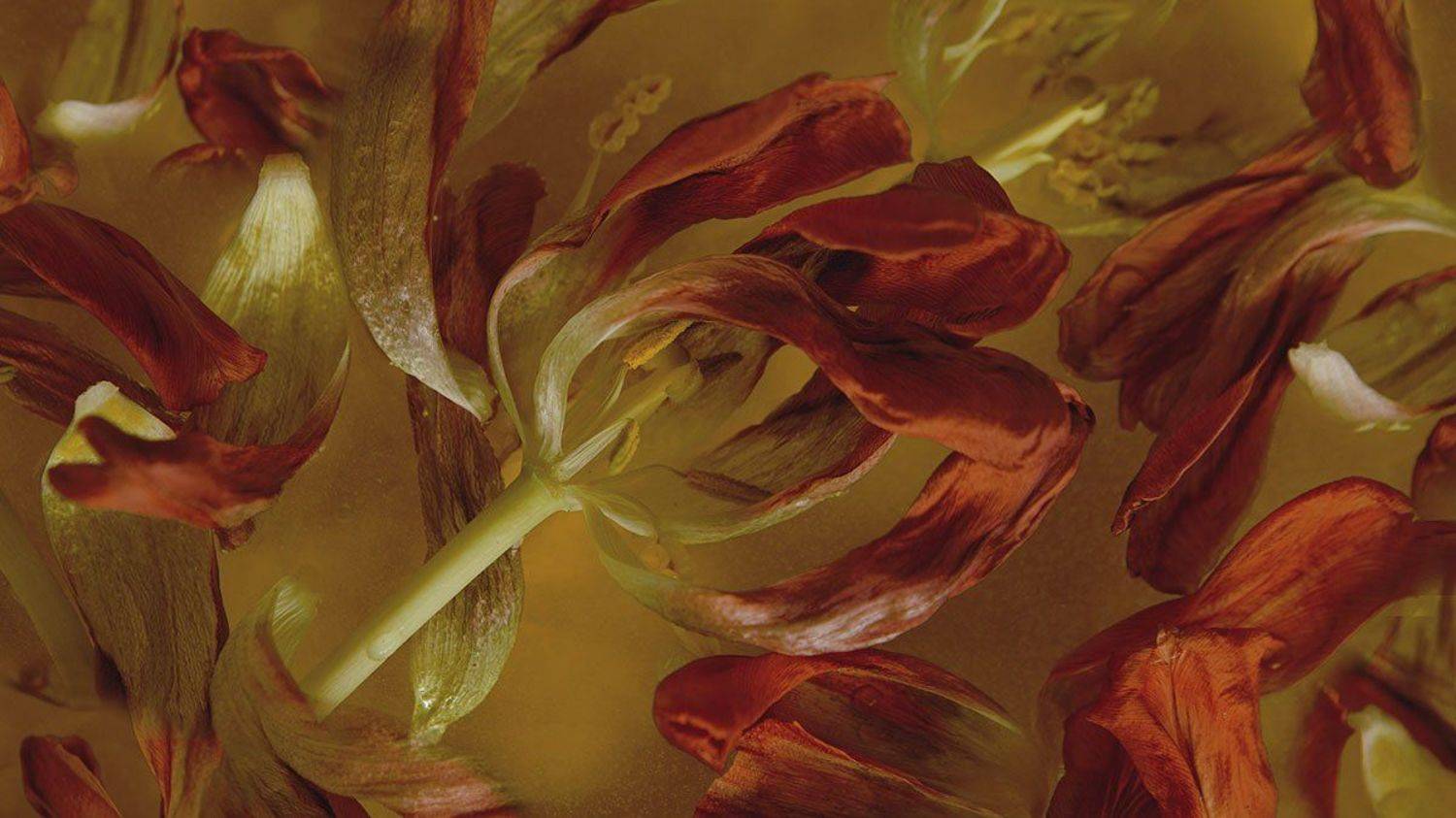 , Ольга Юсупова