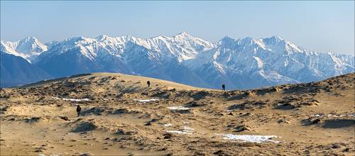 Чарские пески