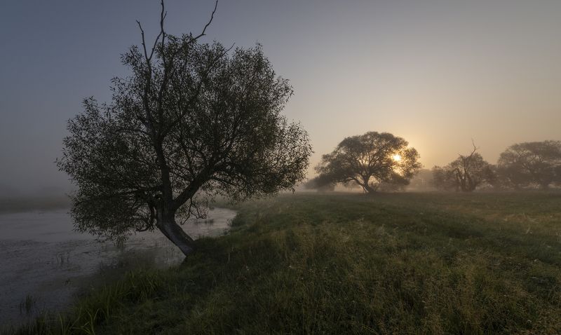 в рассветных туманах... фото превью