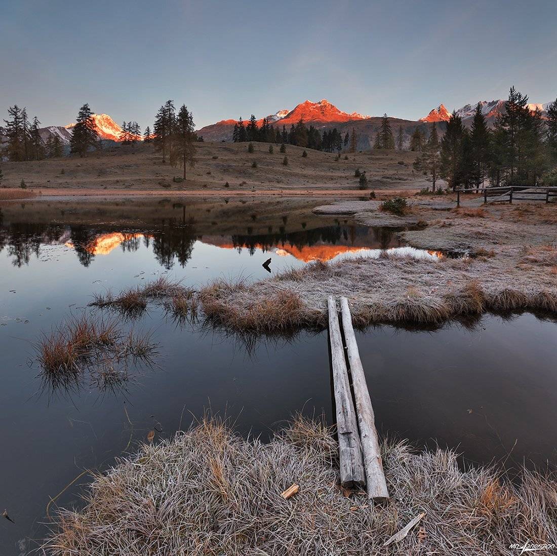swiss, Матвеев Николай