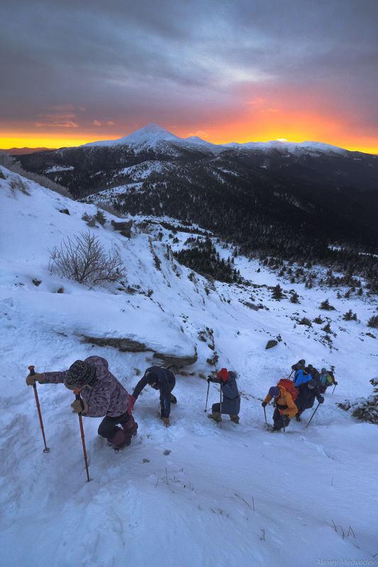 Карпаты, Украина, зима Рядочком фото превью