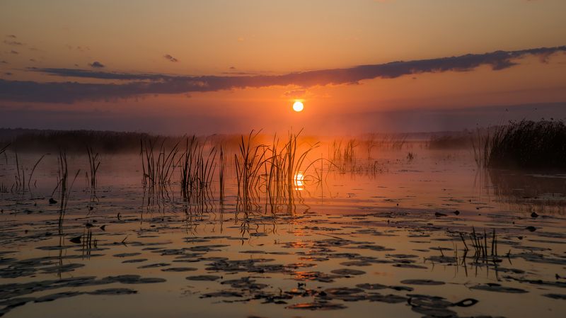 пейзаж, закат, лето, озеро, вода, отражение, небо, облака, красота, природа Знойное летнее утро... фото превью