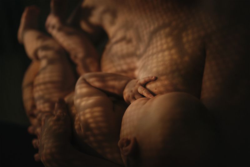 Motherhood фото превью