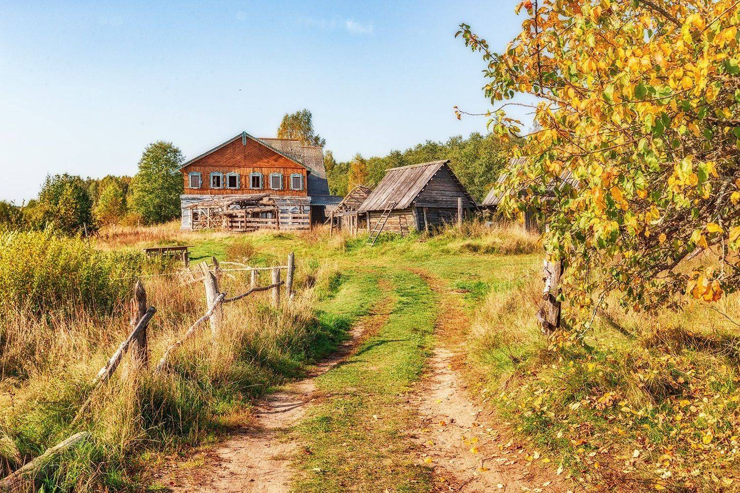 кино, конодеревня, псковская область, Владимир Липецких