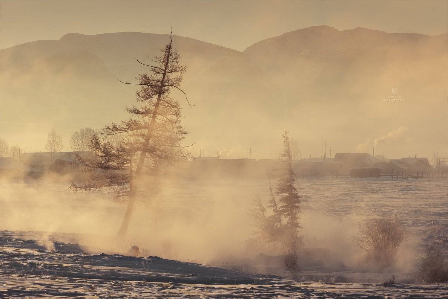 , Дмитрий Купрацевич