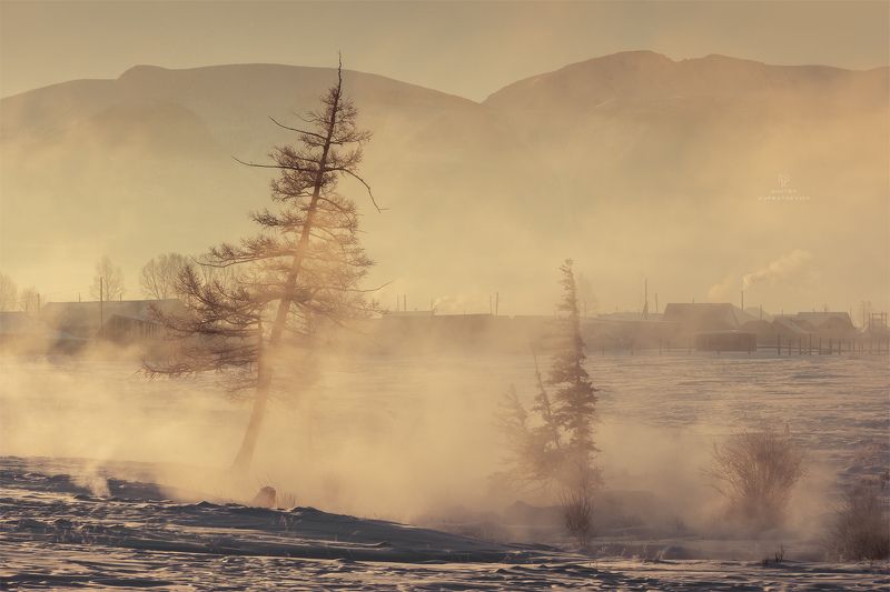 В зимнем тумане фото превью