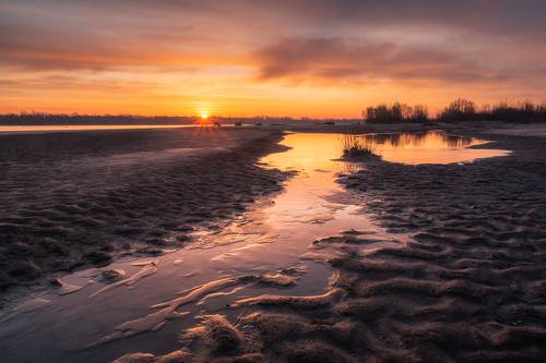 Vistula backwaters